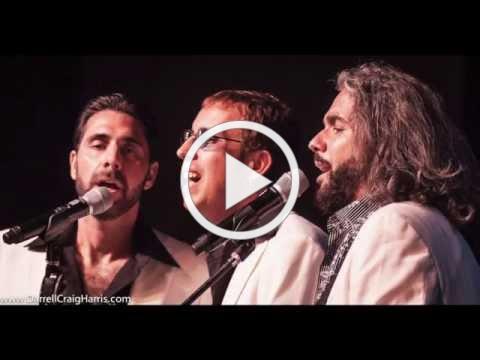 Bee Gees Gold Promo 2 Agent Friendly #beegeestribute #beegeesgoldtribute