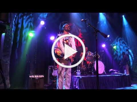 Return of Jimi